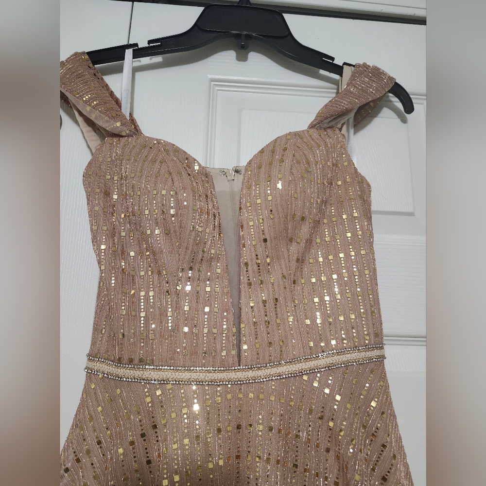 Enviuos Couture Formal/prom Dress NWT Rose Gold Stunning